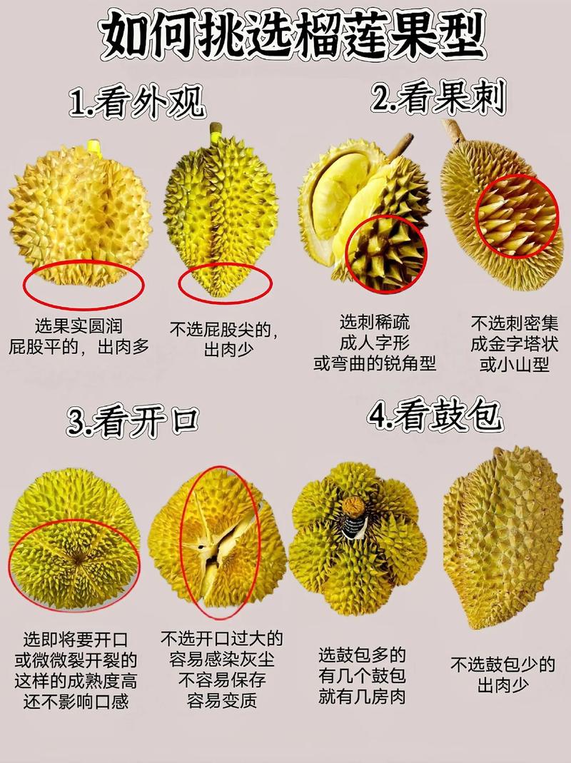 海南榴莲666原视频游戏截图