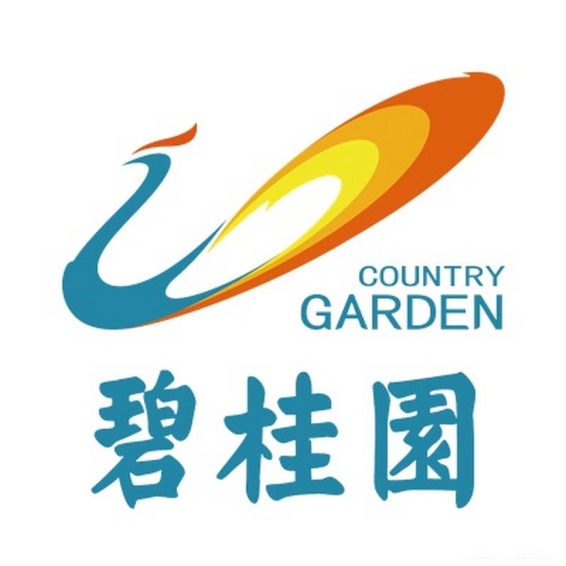 碧桂园p1是什么意思图标