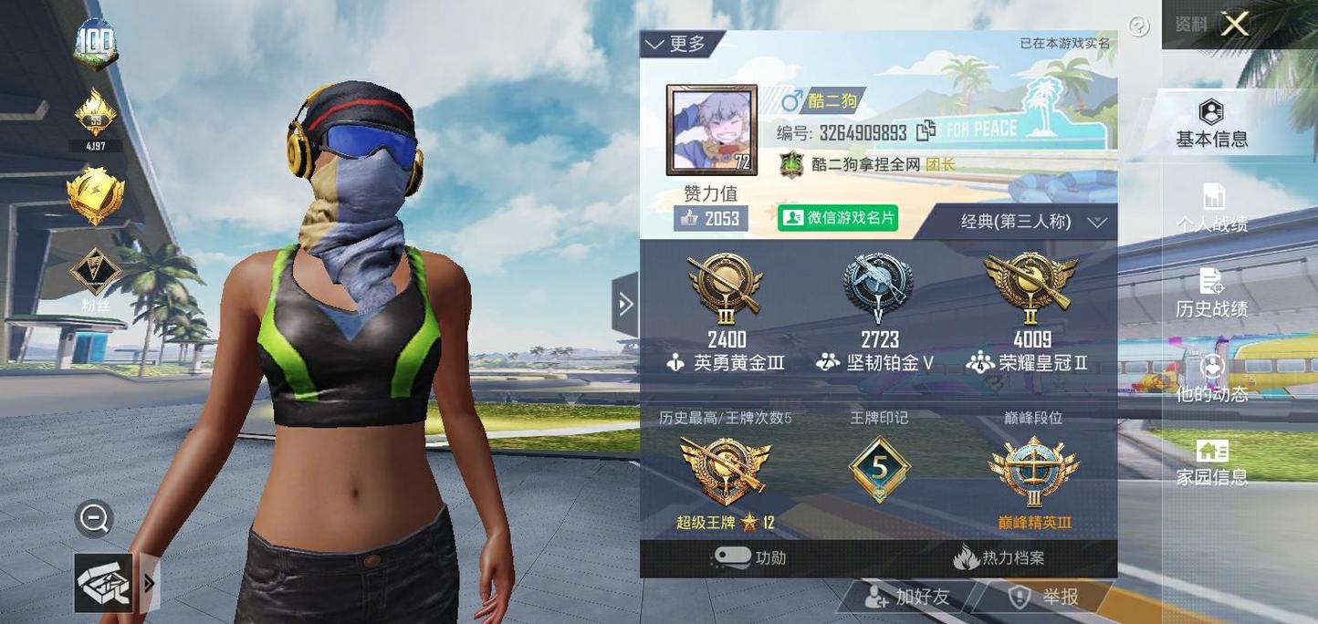 和平精英酷二狗