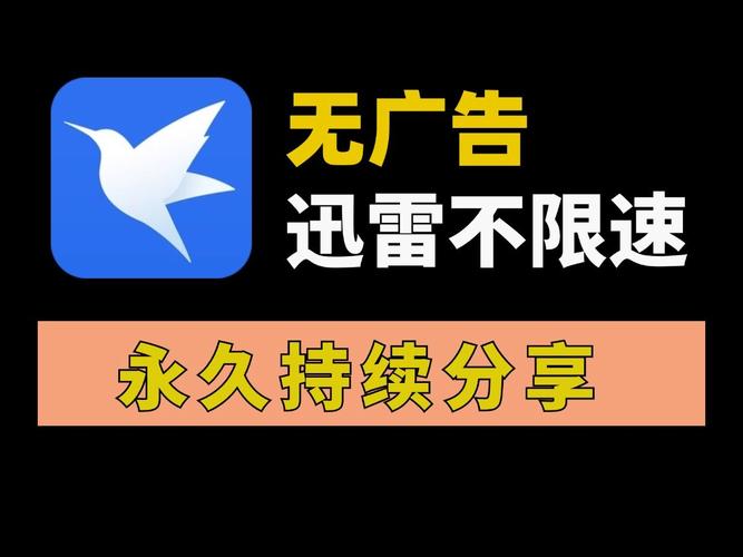 迅雷安装不了怎么回事图标