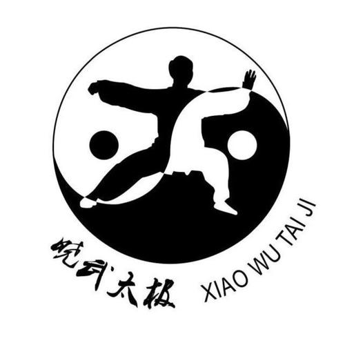 太极拳免费教学视频图标