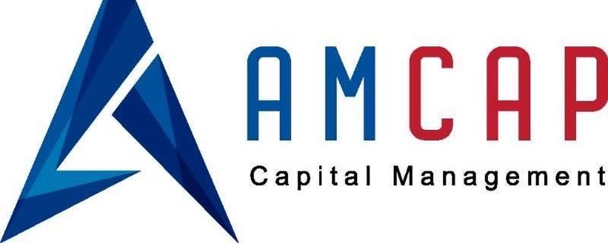 AMCap怎么换成中文的图标