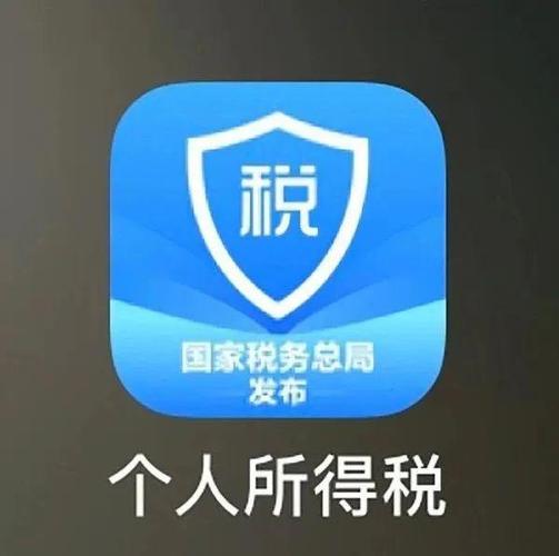 广西个人所得税app安卓版图标