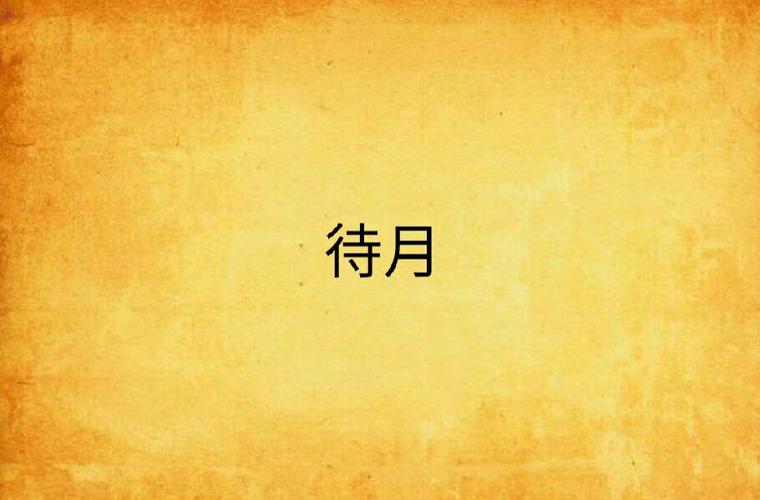 待月小说破解