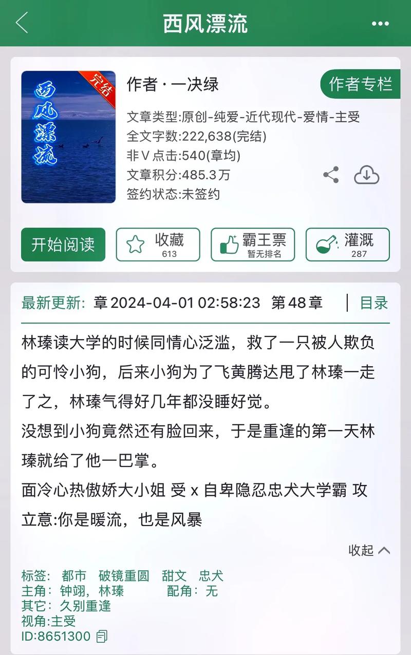 西风阁小说