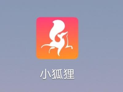 小狐狸直播