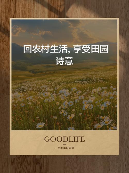回归田园生活官方版