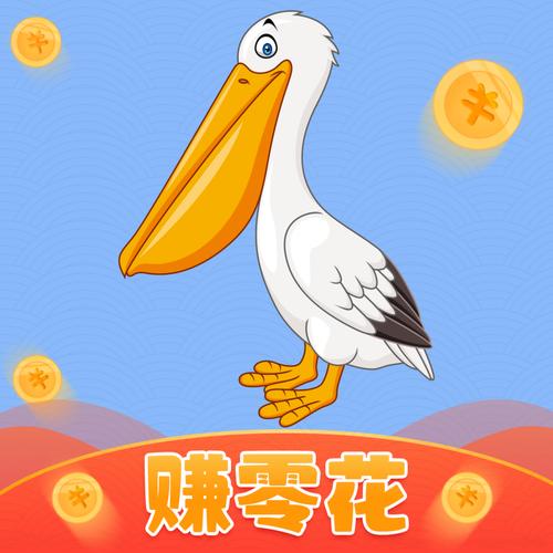 鹈鹕短视频v1.0