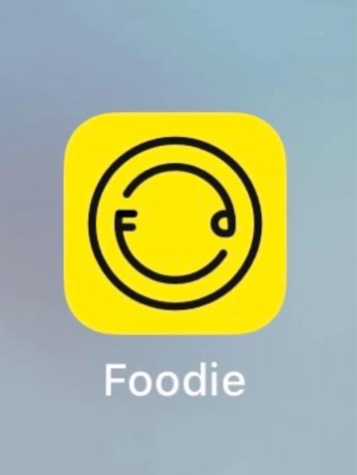 Foodie漫画滤镜相机