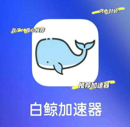 白鲸加速器2023最新版本