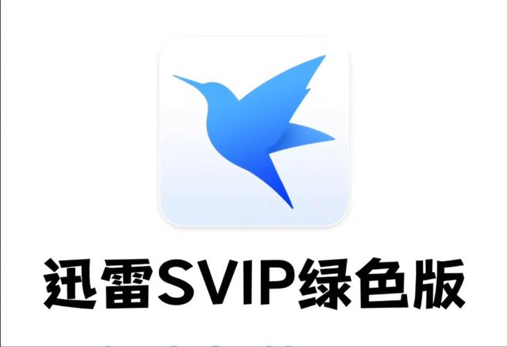 xunlei下载