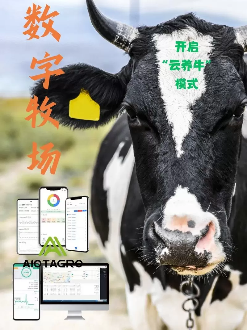 云养牛智慧牧场图标