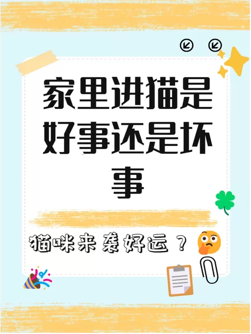 猫咪春节跟着回家好吗