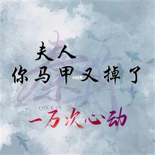 夫人你马甲又掉了txt文件图标